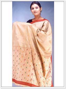 Assam Golden Muga Silk Sarees